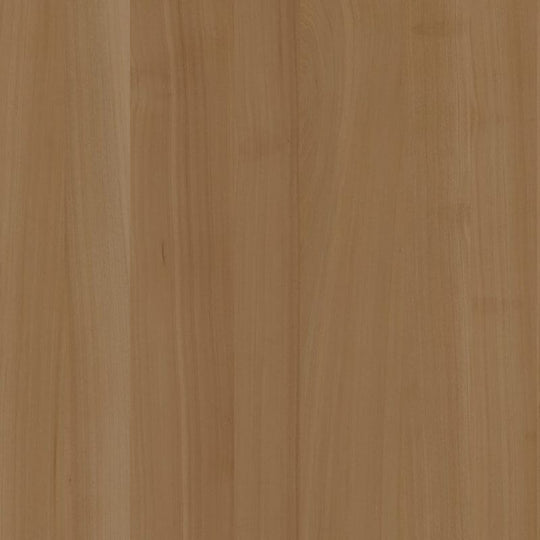 Groove Acoustic Panels Timber with natural wood grain texture, enhancing interior aesthetics and acoustics.