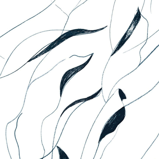 Abstract design featuring flowing leaves in black and white, inspired by New Zealand's natural landscape.