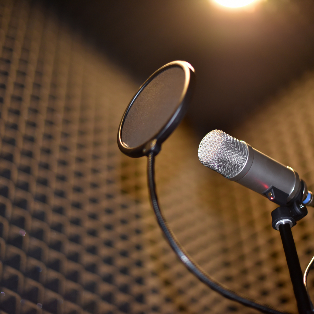 Image of a microphone and pop filter in a soundproof studio, highlighting sound absorption for clear audio recording.