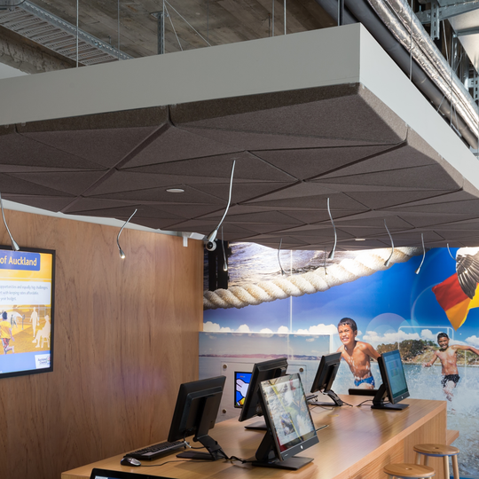 3D Acoustic Ceiling Tiles