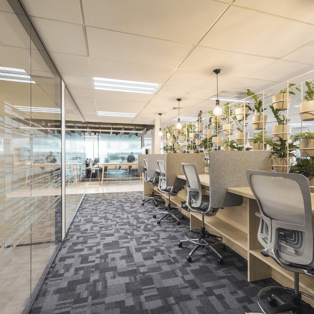 Modern open-plan office featuring Autex Cove Desk Dividers for privacy and acoustic comfort, designed for flexible workspaces.