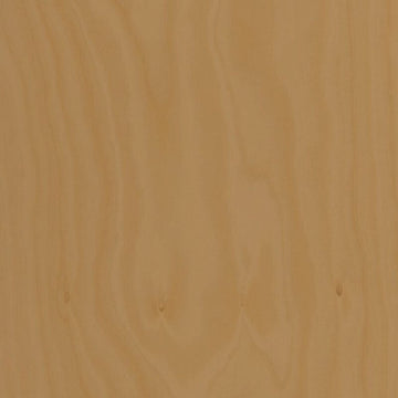 Hoop Pine