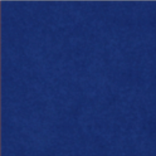 Louvre Acoustic Blades