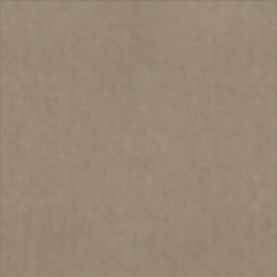 Louvre Acoustic Blades