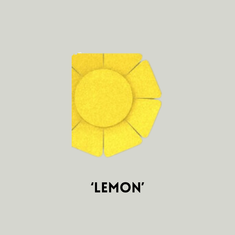 Wallflower Lemon