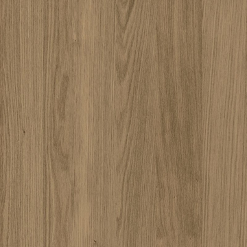Civic Oak