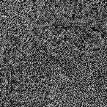 Native Seeds Midnight
