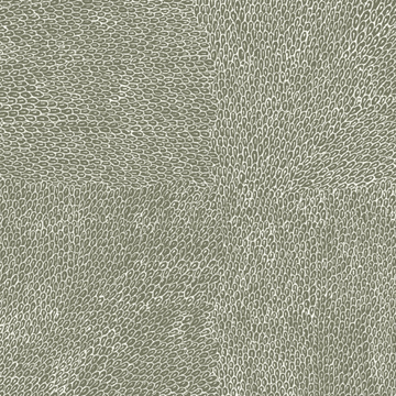 Native Seeds Olive