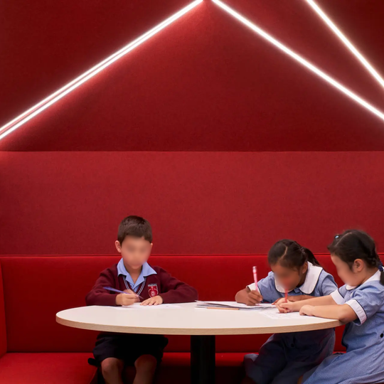 Quietspace Acoustic Panels with Vertiface® Colours