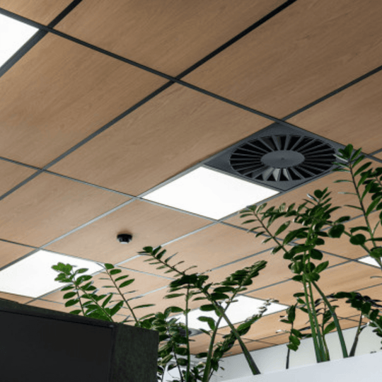 Autex Acoustic Timber Ceiling Tiles with woodgrain pattern and ventilation, surrounded by indoor plants for enhanced acoustics.