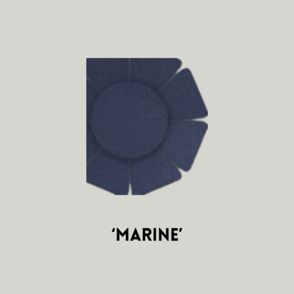 Wallflower Marine